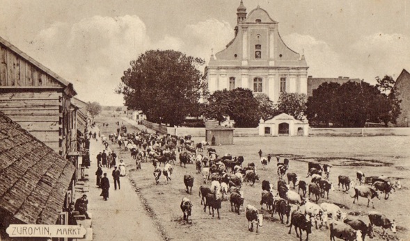hotel zuromin